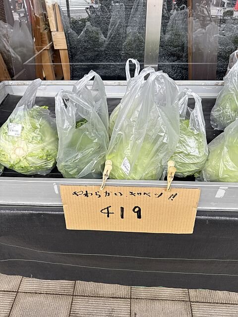 202506185.jpg